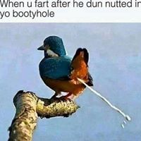 Nicholas Casey Photo 15