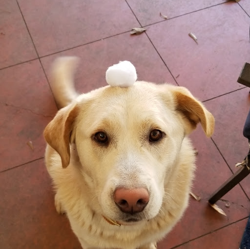 Chris Durrett Photo 17