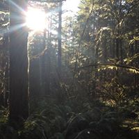 Laurie Fisher Photo 30