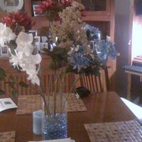 Sandra Holmes Photo 13