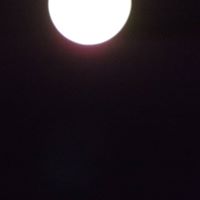 Alton Scott Photo 19