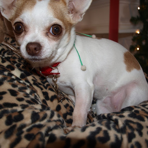 Beth Johnson Photo 6