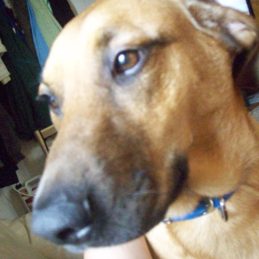 Julie Elder Photo 25