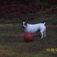 Shirley Mccardle Photo 6