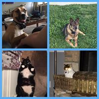 Jennifer Knepp Photo 6