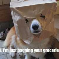 Thomas Swift Photo 12