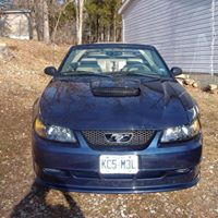 George Kraus Photo 4