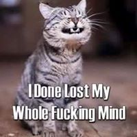 Ralph Reed Photo 11 Ralph Reed Photo 11