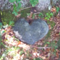 Deborah Stratton Photo 10