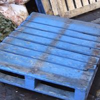 Louise Harmon Photo 11