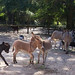 Mary Floyd Photo 17