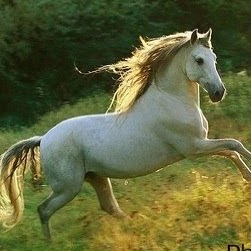 Julie Bartlett Photo 18