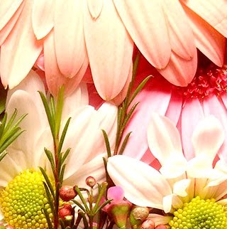 Katherine Burkhart Photo 10