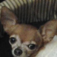 Carol Douglas Photo 23