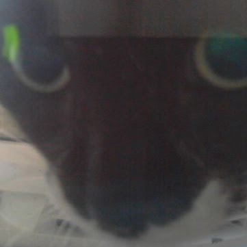 David Nelms Photo 37