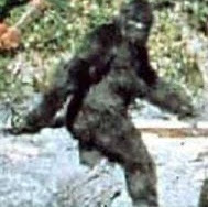 Matthew Waters Photo 24