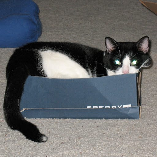 Jennifer Sewell Photo 12