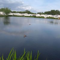 Anne Dickinson Photo 11