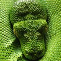 Stephen Doss Photo 31