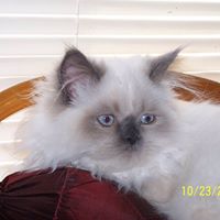 Nancy Bowen Photo 47