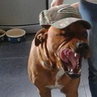 Joseph Houston Photo 18