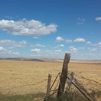 Michele Zimmerman Photo 5