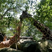 Pamela Mccord Photo 22