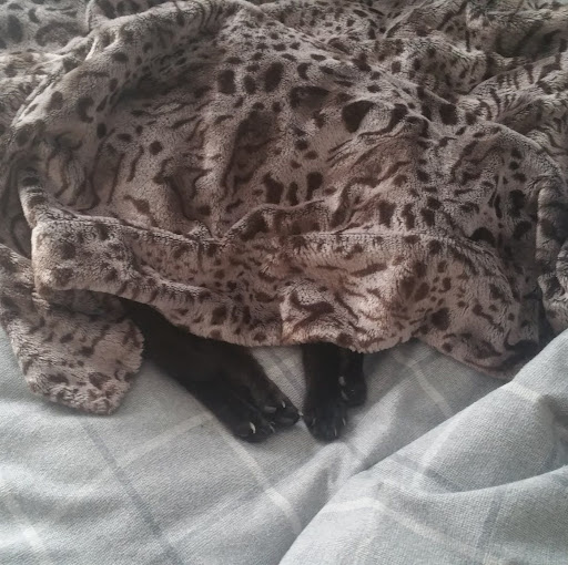 Martha Peters Photo 28 Martha Peters Photo 28