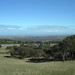 Frances Robertson Photo 15