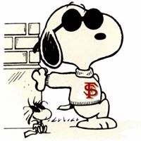 Robin Scher Photo 13