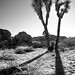 Joshua Million Photo 6