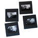 Stacey Perkins Photo 16