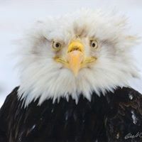 Fred Sprouse Photo 5