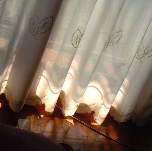 Feng Zhang Photo 26 Feng Zhang Photo 26