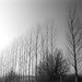 Kent Crouch Photo 14