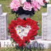 Frances Hamilton Photo 17