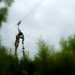 David Kellerman Photo 24