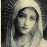 Ann Jennings Photo 7 Ann Jennings Photo 7