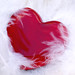 Catherine Love Photo 11