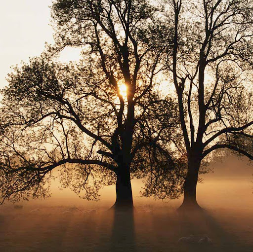 Clinton Stone Photo 21