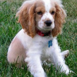 Bobby Pitts Photo 1 Bobby Pitts Photo 1