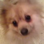 Alice Rainey Photo 11