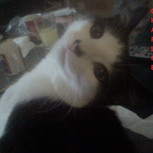 Jacqueline Spence Photo 25