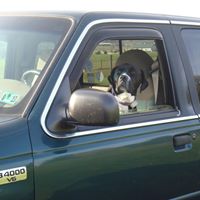 Susan Seaman Photo 31