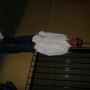 Juan Riojas Photo 12
