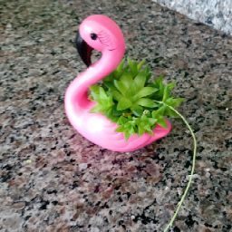 Ana Almeida Photo 15