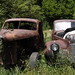 Randolph Rust Photo 4
