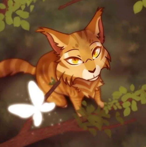 Chad Connors Photo 21