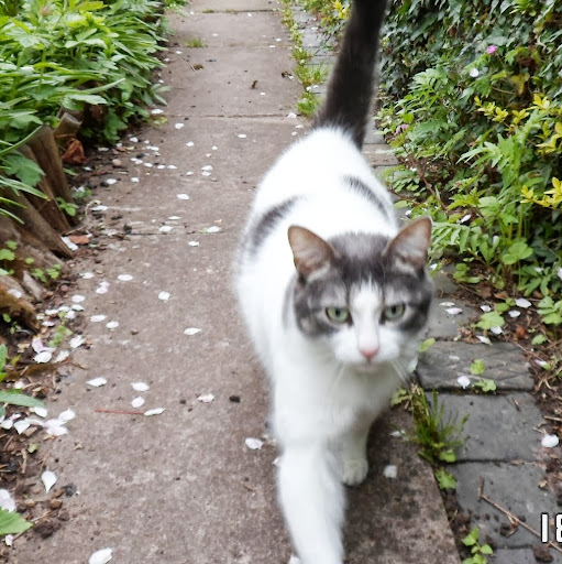 Janice Andrews Photo 17