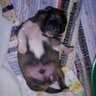Christine Hoehn Photo 3